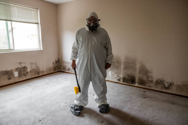 Reliable Riverside, PA Mold Remediation Solutions